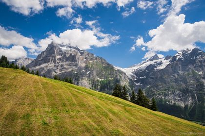 D810 2018-06-30 01.25.12 APC_0013